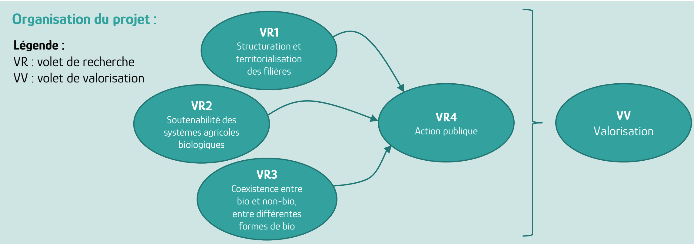 Organisation du projet