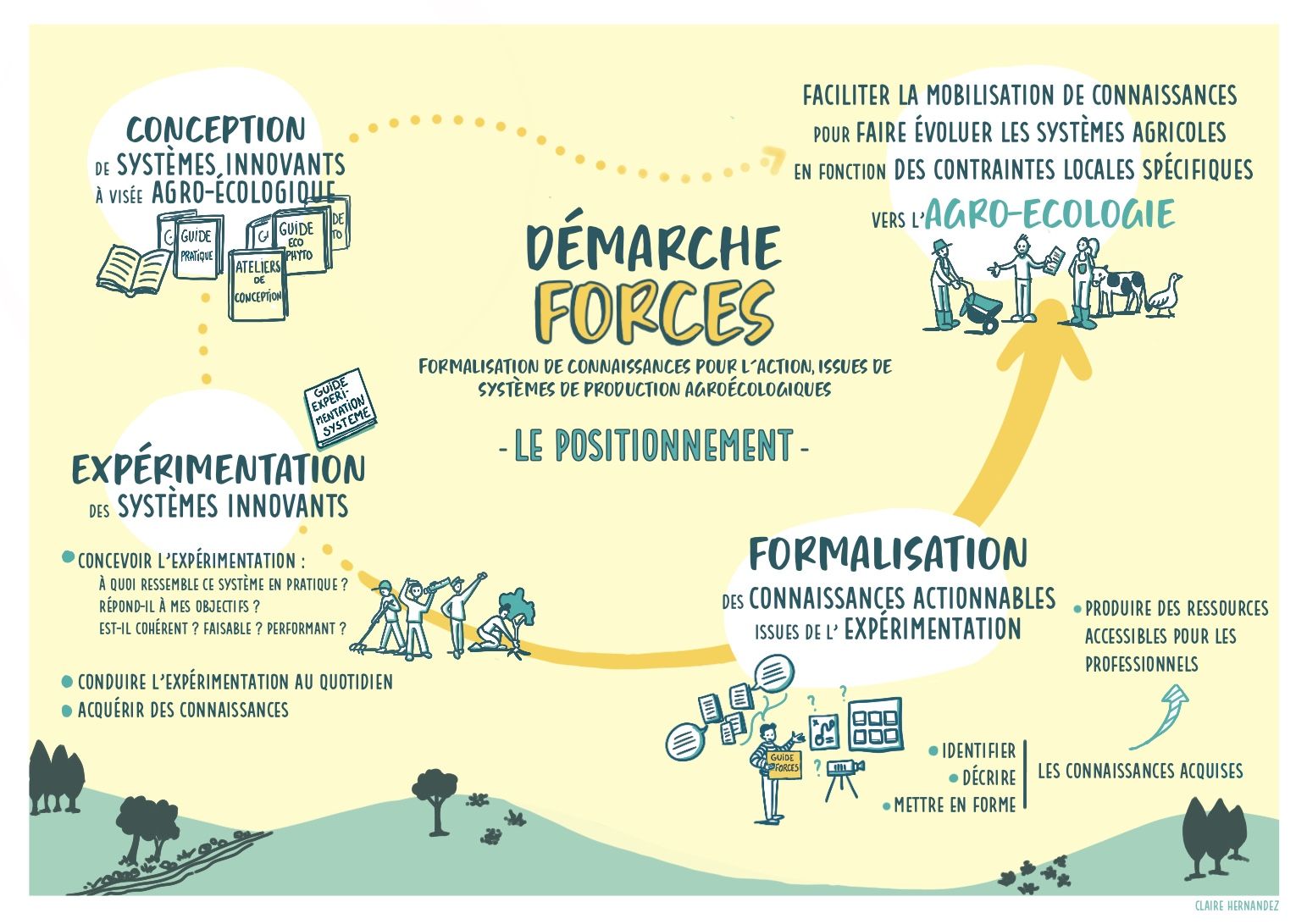 20240426_Le positionnement FORCES