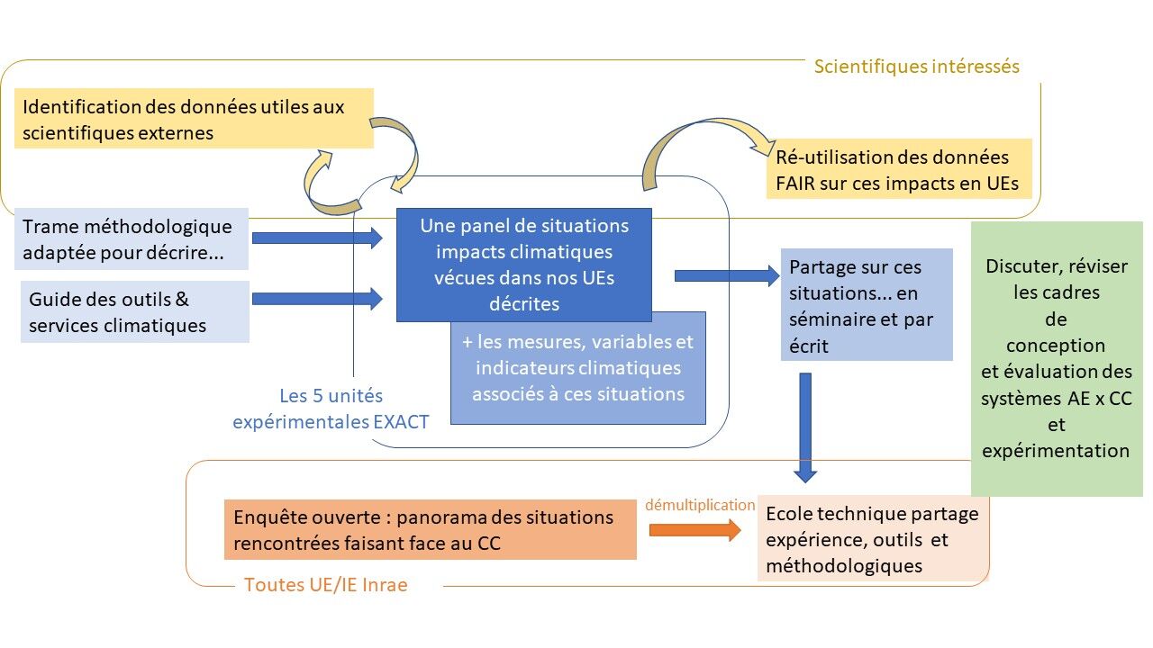 Schéma EXACT Schéma EXACT