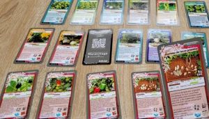Jeu de cartes proposé par MARAÎCHAGE co-conçue avec le département